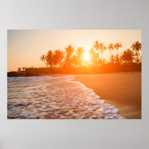 Poster Coucher de soleil sur la plage aux cocotiers   Sri