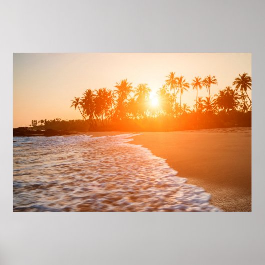 Poster Coucher de soleil sur la plage aux cocotiers | Sri (Devant)