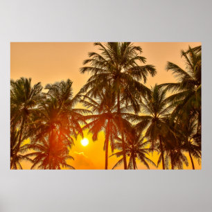 Poster Coucher de soleil sur la plage du Sri Lanka