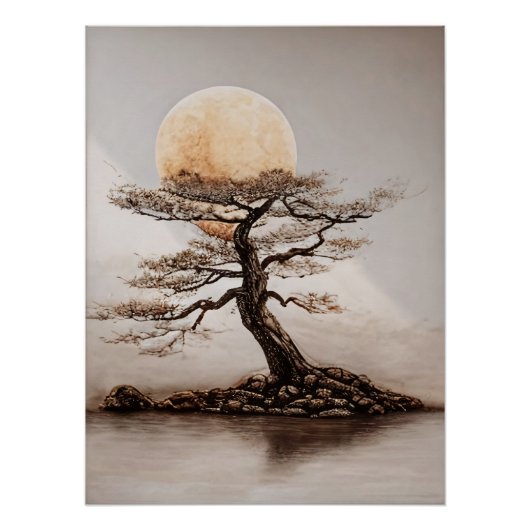 Poster Coucher de soleil sur l'arbre (Devant)