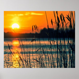 Poster Coucher de soleil sur le lac