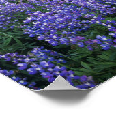 Poster Coucher de soleil sur le mont Adams et une prairie (Coin)