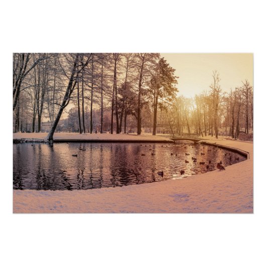 Poster Coucher de soleil sur le parc avec petit lac gelé (Devant)