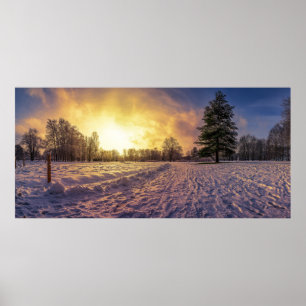 Poster Coucher de soleil sur le parc d'hiver enneigé