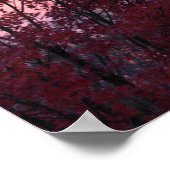 Poster Coucher de soleil sur les arbres magnifique (Coin)