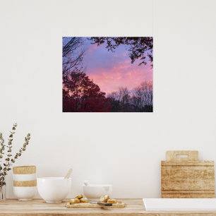 Poster Coucher de soleil sur les arbres magnifique