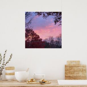 Poster Coucher de soleil sur les arbres magnifique