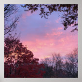 Poster Coucher de soleil sur les arbres magnifique (Devant)