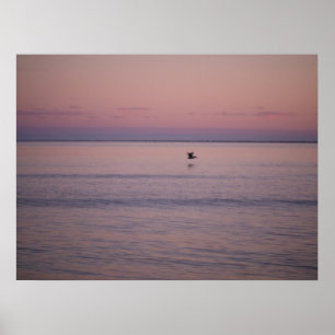 Poster Coucher de soleil sur l'île de Sullivan