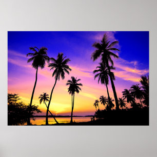 Poster Coucher de soleil sur l'île tropicale au Sri Lanka