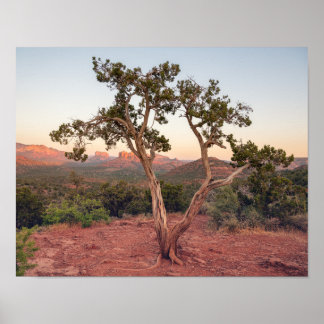 Poster Coucher de soleil sur Lovers Knoll à Sedona