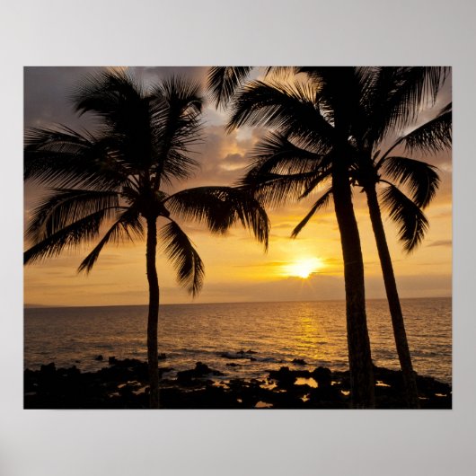 Poster Coucher de soleil sur palmier (Devant)