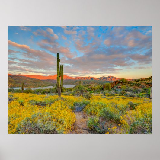 Poster Coucher de soleil sur paysage désertique (Devant)