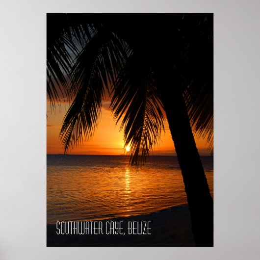 Poster Coucher de soleil sur un palmier tropical au Beliz (Devant)