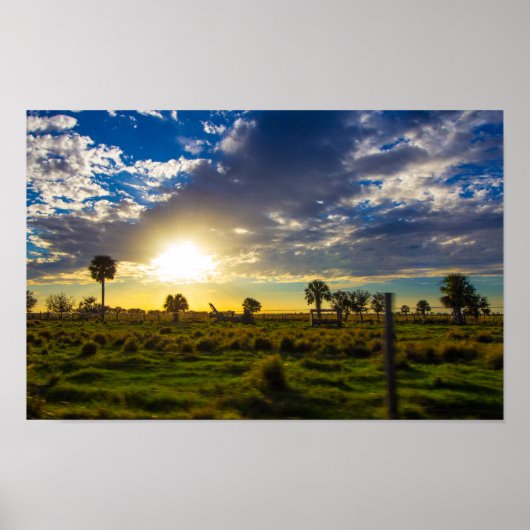 Poster Coucher de soleil sur un ranch de Floride (Devant)