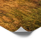 Poster Coucher de soleil sur une route de campagne (Coin)