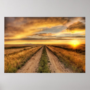 Poster Coucher de soleil sur une route de campagne