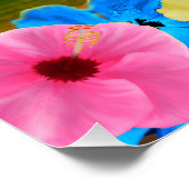 Poster Coucher de soleil tropical (Coin)