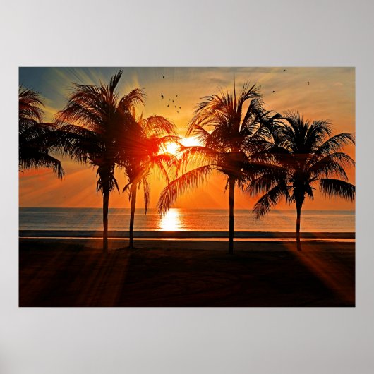 Poster Coucher de soleil tropical (Devant)