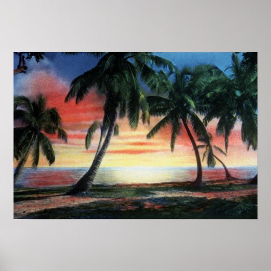 Poster Coucher de soleil tropical de Key West Florida (Devant)