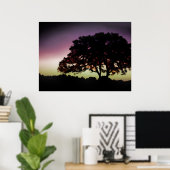 Poster Coucher de soleil violet et silhouette de chêne (Bureau à domicile)