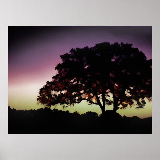 Poster Coucher de soleil violet et silhouette de chêne (Devant)