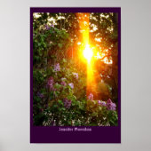 Poster Coucher du soleil (Devant)