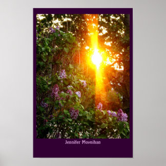 Poster Coucher du soleil