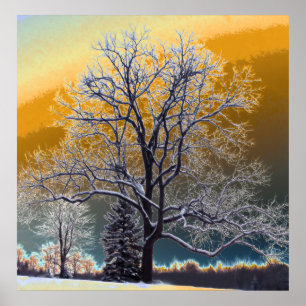 Poster Coucher du soleil