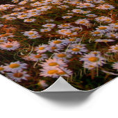 Poster Coucher du soleil (Coin)