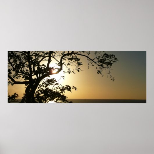 Poster Coucher du soleil à travers les arbres II Photogra (Devant)