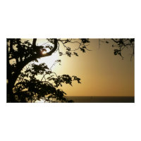 Coucher du soleil à travers les arbres II Photogra