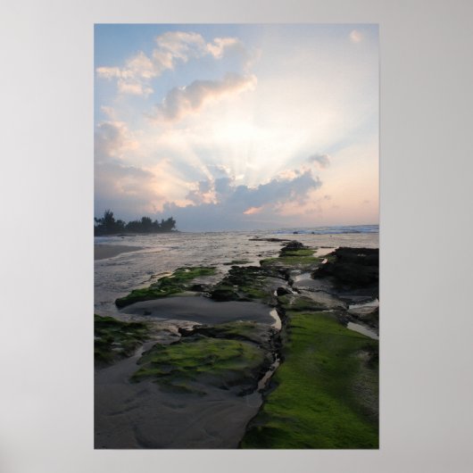 Poster Coucher du soleil de la côte nord (Devant)