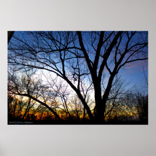 Poster Coucher du soleil de novembre de ma fenêtre
