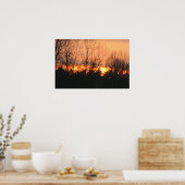Poster Coucher du soleil derrière les arbres (Cuisine)