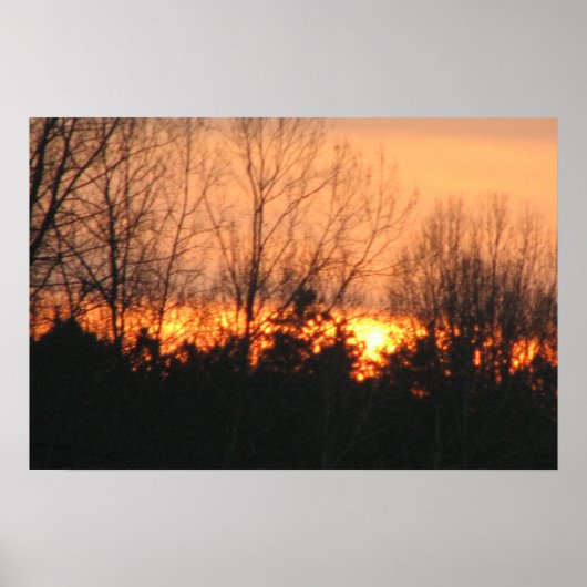 Poster Coucher du soleil derrière les arbres (Devant)