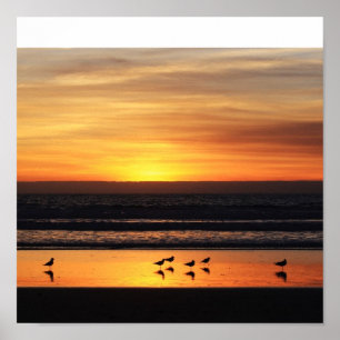 Poster Coucher du soleil en Californie