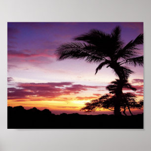 Poster Coucher du soleil hawaïen