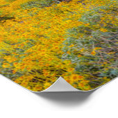 Poster Coucher du soleil sur le paysage désertique (Coin)