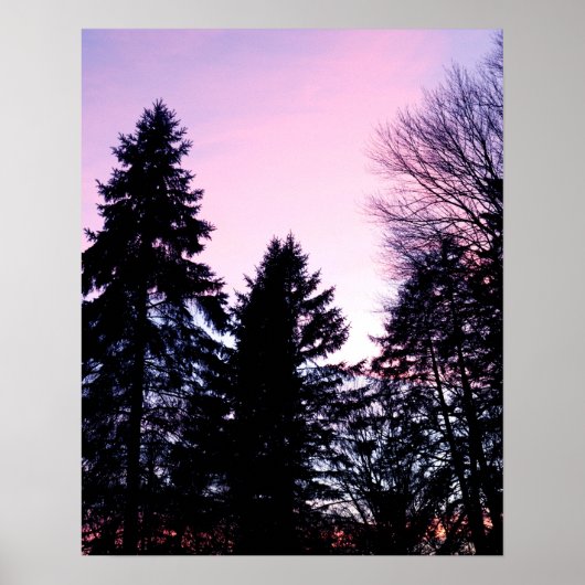 Poster Couchers de soleil rose violet (Devant)