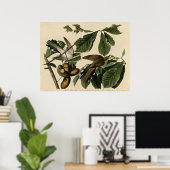 Poster Coucou à bec jaune Les oiseaux d'Amérique Audubon (Bureau à domicile)