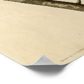 Poster Coucou à bec jaune Les oiseaux d'Amérique Audubon (Coin)