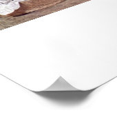 Poster Coudre Vierge Marie Et Anges Par Guido Reni (Coin)