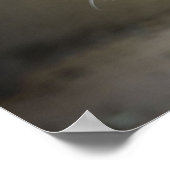 Poster Cougar (Coin)