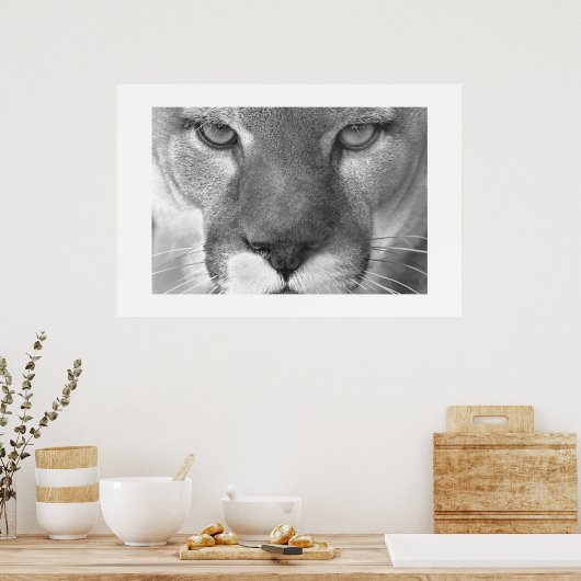 Poster Cougar (Cuisine)