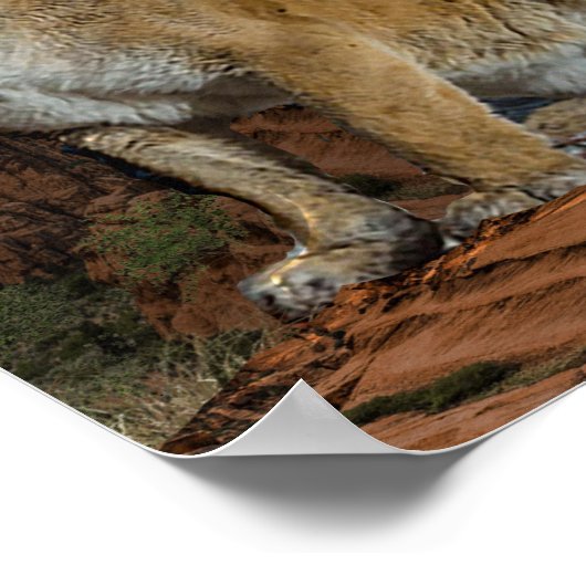 Poster Cougar (Coin)