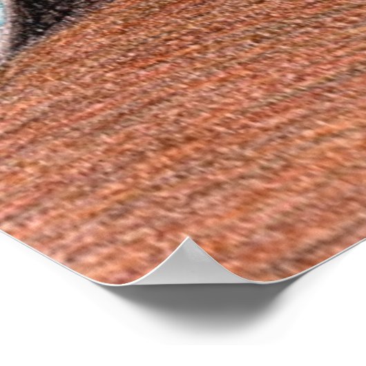 Poster Cougar #2 (Coin)