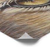 Poster Cougar Eyes #2 (Coin)