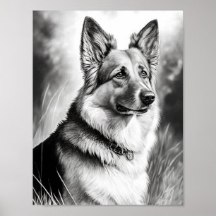 Poster Couleur adulte de chien réaliste