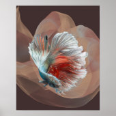 Poster couleur betta (Devant)